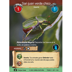 San juan verde chico- 037/153 | Edición Tomo I SELVA TCG