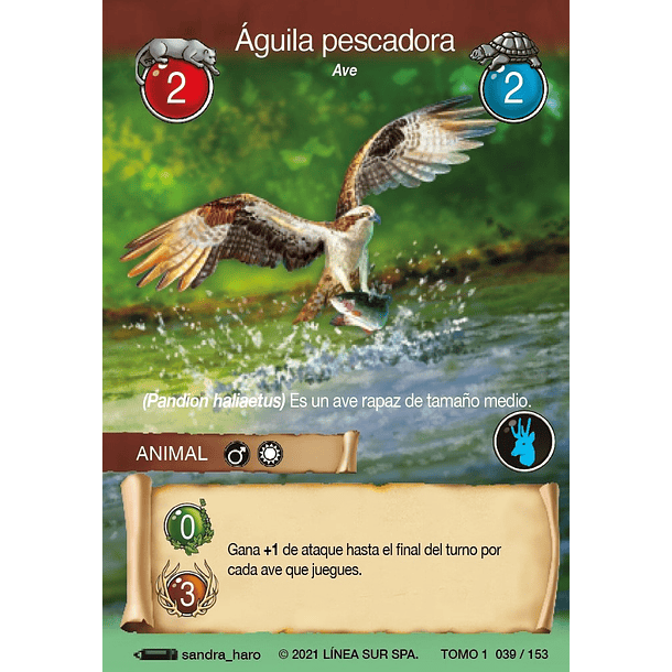 Águila pescadora- 039/153 | Edición Tomo I SELVA TCG