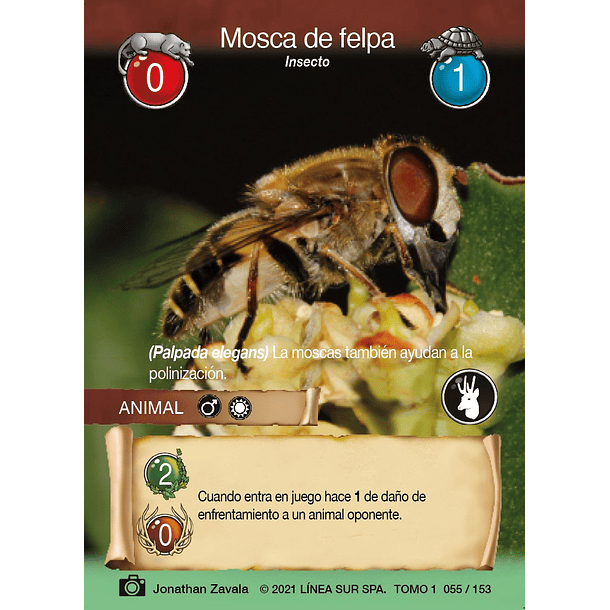 Mosca de felpa- 055/153 | Edición Tomo I SELVA TCG