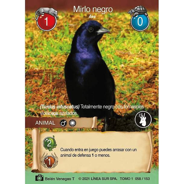 Mirlo negro- 058/153 | Edición Tomo I SELVA TCG