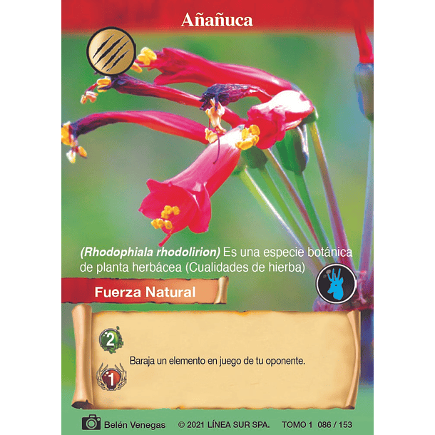 Añañuca- 086/153 | Edición Tomo I SELVA TCG