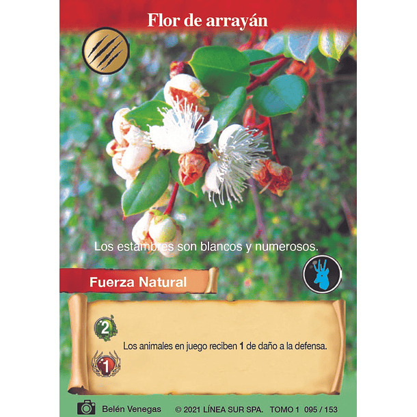 Flor de arrayán- 095/153 | Edición Tomo I SELVA TCG