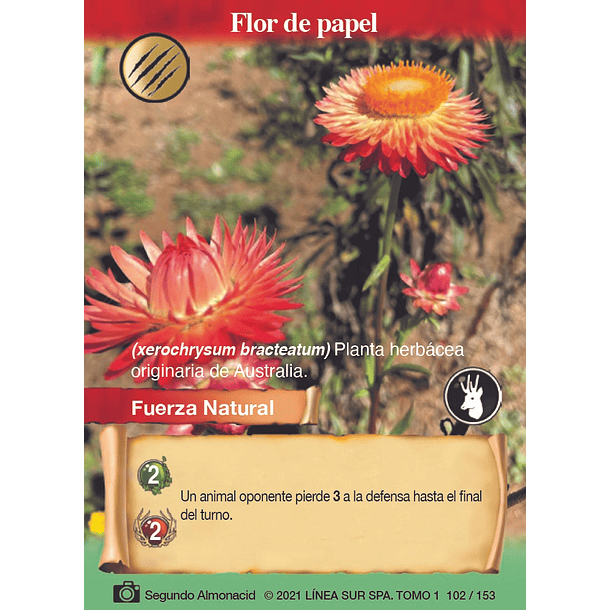 Flor de papel- 102/153 | Edición Tomo I SELVA TCG