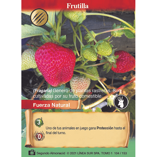 Frutilla- 104/153 | Edición Tomo I SELVA TCG