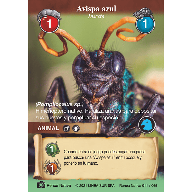 Avispa Azul- 011/065 | Renca Nativa SELVA TCG