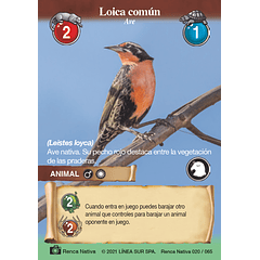 Loica común- 020/065 | Renca Nativa TCG