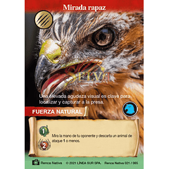 Mirada rapaz- 021/065 | Renca Nativa SELVA TCG