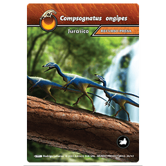 Compsognatus ongipes 36/43 | Mundo Prehistórico SELVA