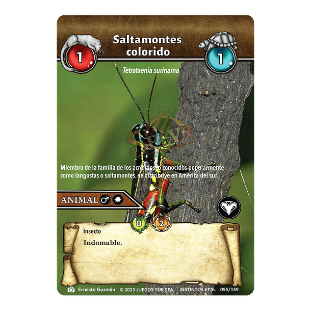 Saltamontes colorido- 055/159 | Edición Instinto Letal SELVA TCG