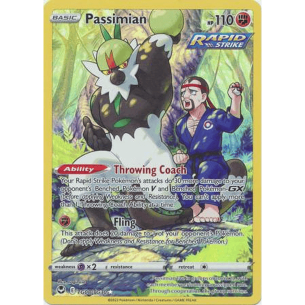 Passimian - TG08/TG30 - Holo Rare- Inglés