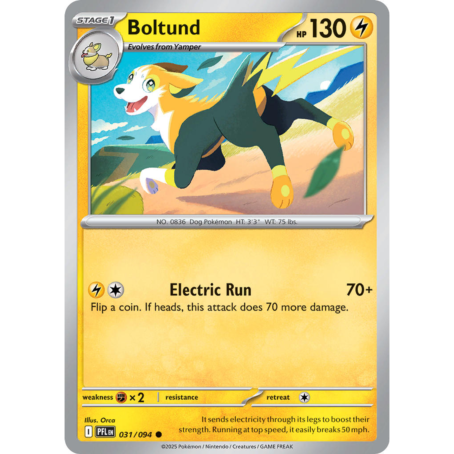 Boltund 031/094 Common Ingles