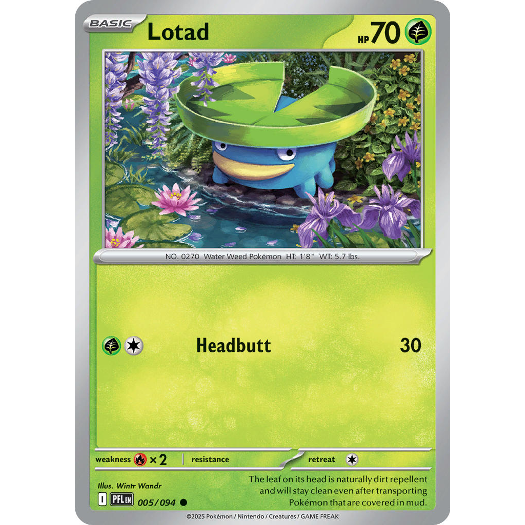 Lotad 005/094 Common Reverse Holo Ingles