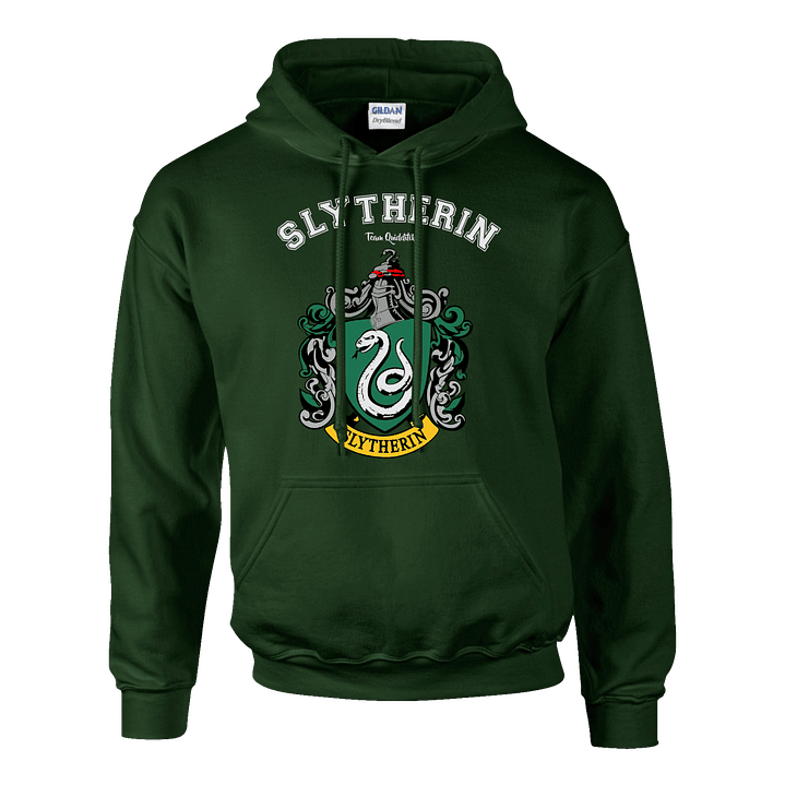 Buzo Harry Potter Slytherin Team Quidditch 1