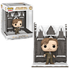 Remus Lupin With The Shrieking Shack Funko Pop Harry Potter 156