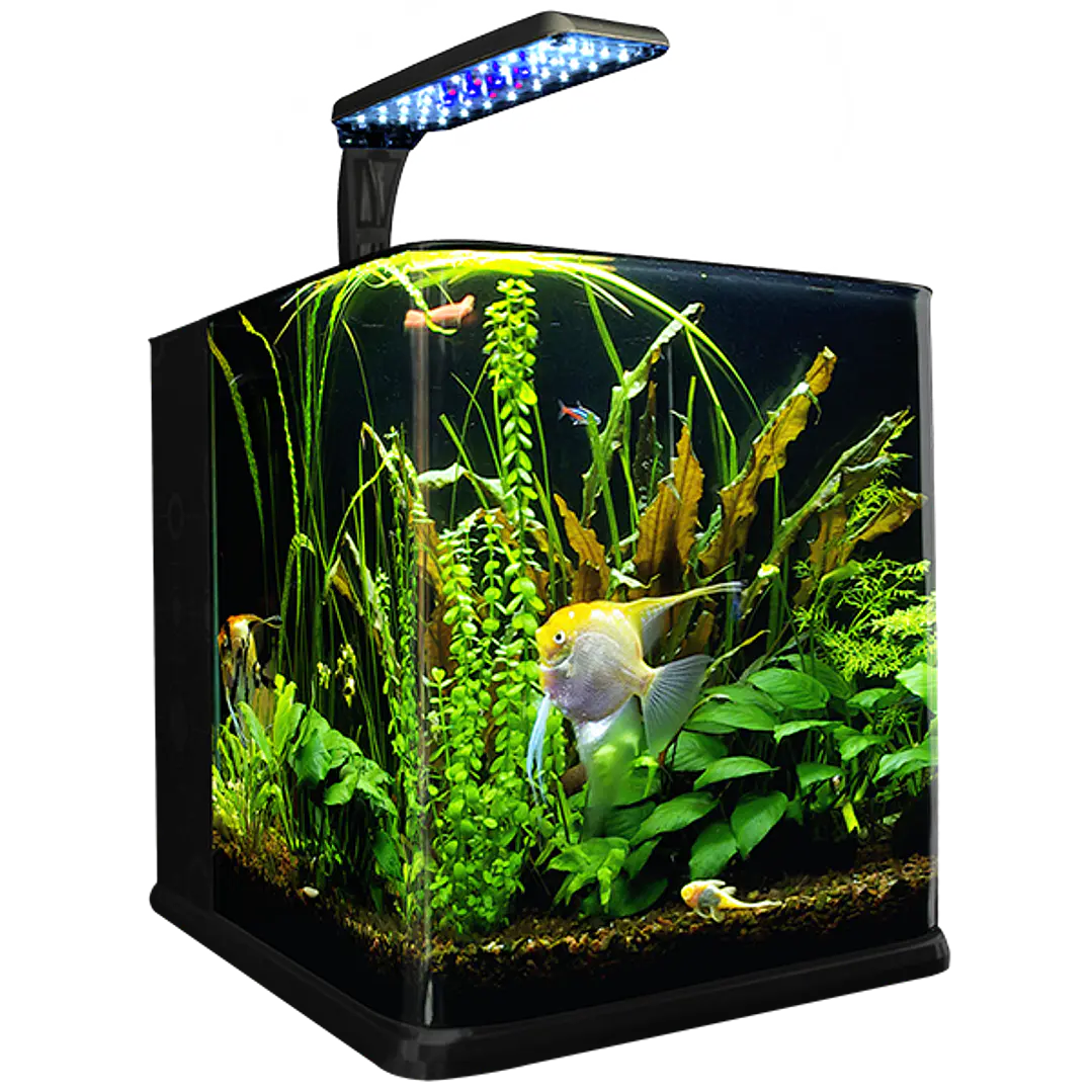 ACUARIO NANO CUBO 9 L 3