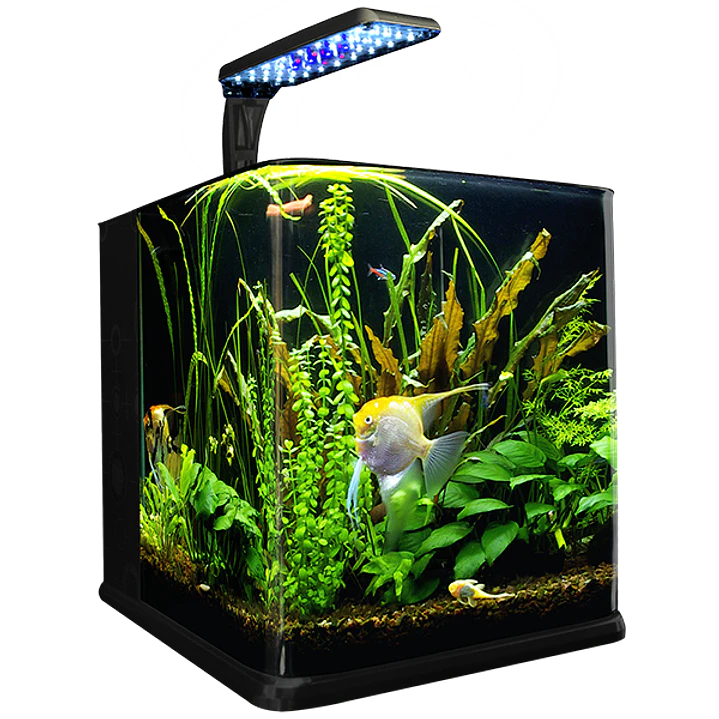 ACUARIO NANO CUBO 9 L 3