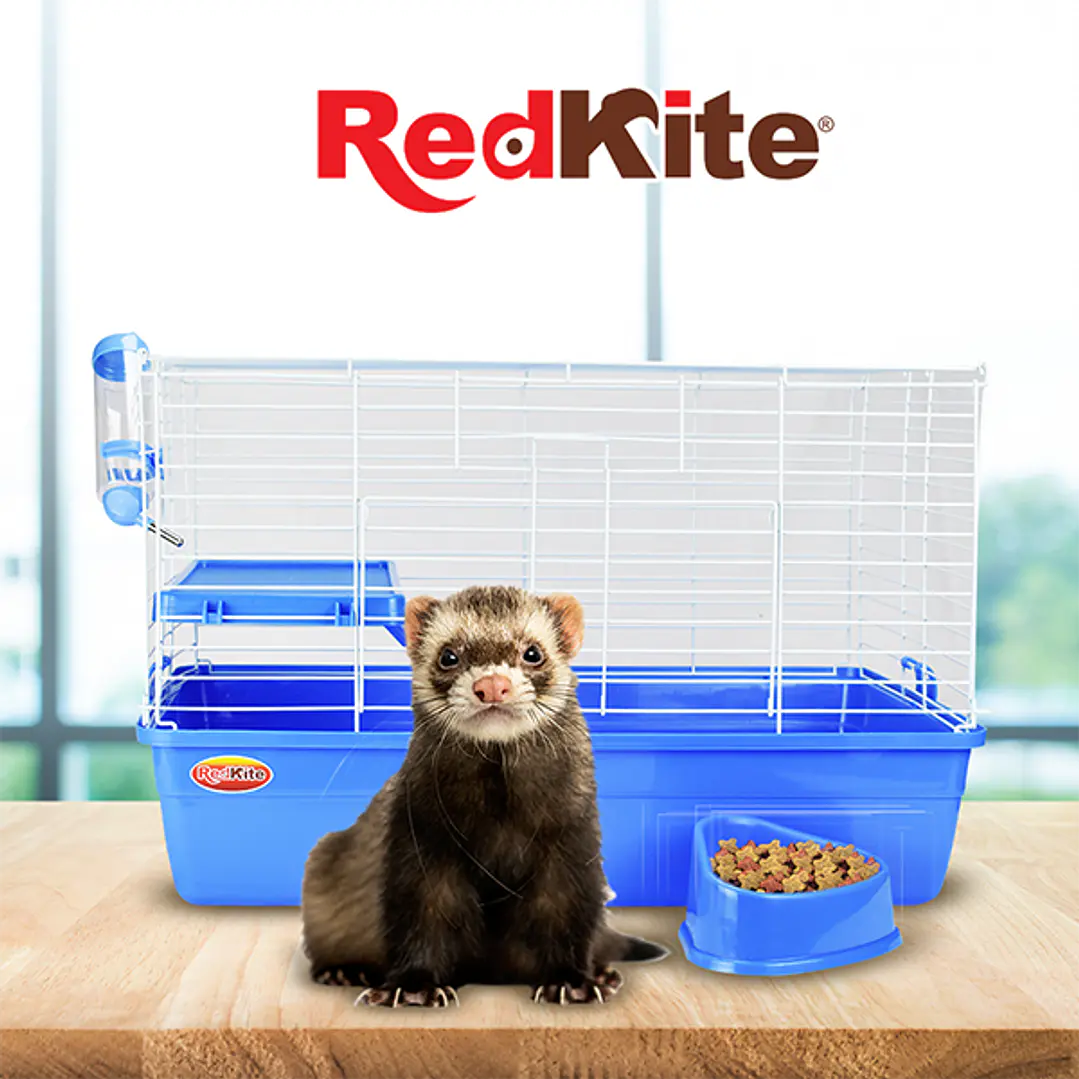 HABITAD AMSTERDAM P/HURON RED KITE 3