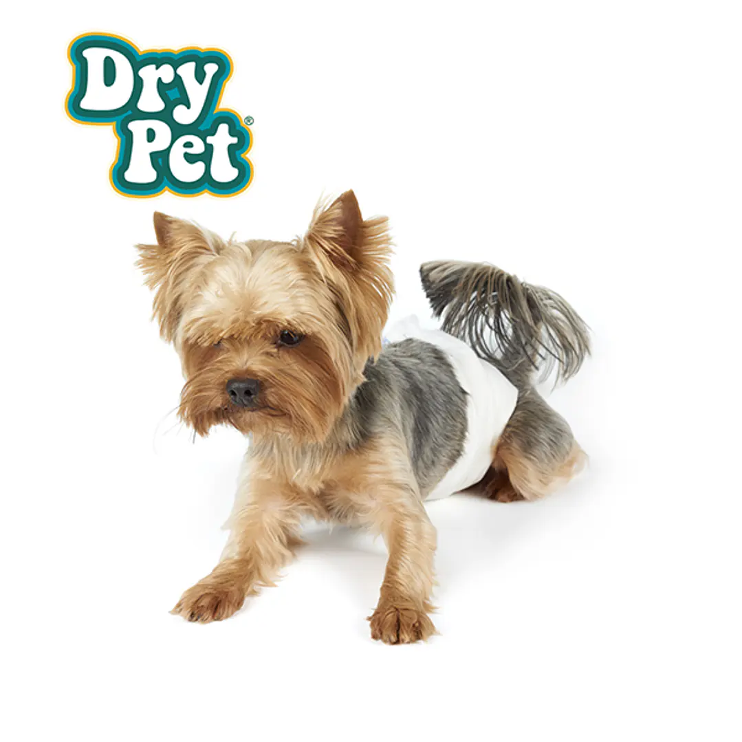 PAÑALES XCH P/PERRO - 12 PZ 2