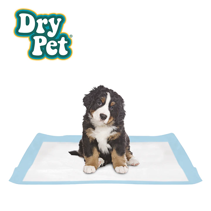 PAÑALES GDE P/PERRO - 12 PZ 2