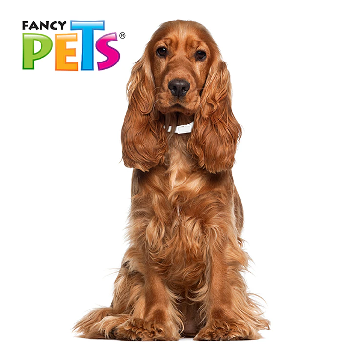 MS COLLAR ANTIPULGAS P/RAZAS MEDIANAS (51 CM) 2