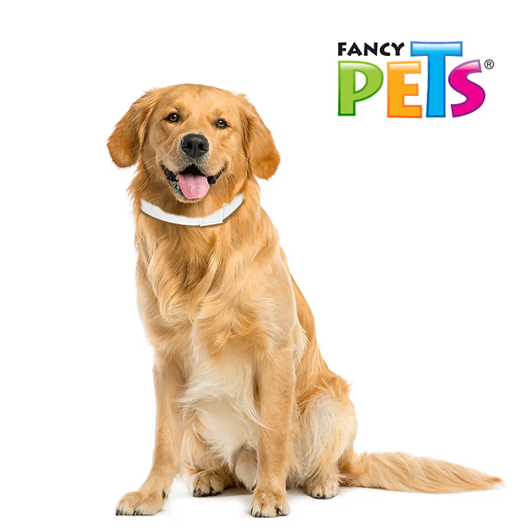 MS COLLAR ANTIPULGAS P/RAZAS GRANDES (64 CM) 2