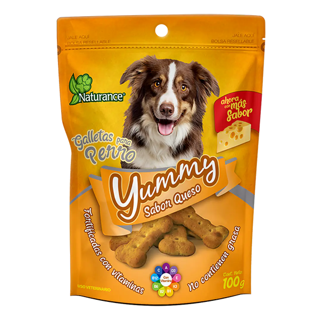 YUMMY SABOR QUESO 100 G 1