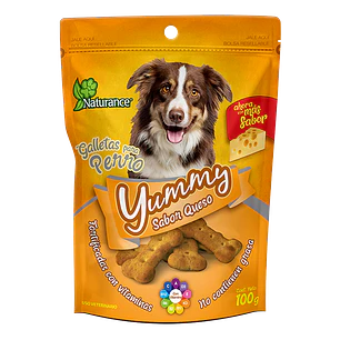 YUMMY SABOR QUESO 100 G