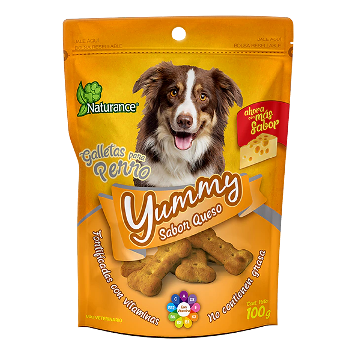YUMMY SABOR QUESO 100 G 1