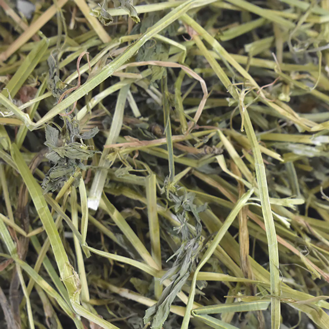 HENO DE ALFALFA P/HERBIVOROS 500 G 2