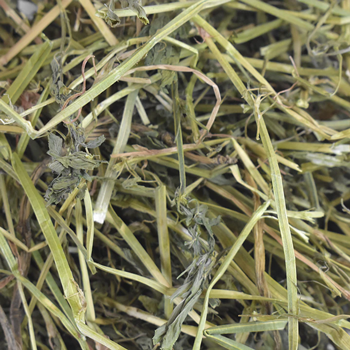 HENO DE ALFALFA P/HERBIVOROS 500 G 2