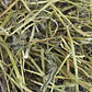 HENO DE ALFALFA P/HERBIVOROS 500 G - Miniatura 2