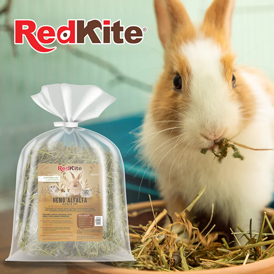 HENO DE ALFALFA P/HERBIVOROS 500 G 3