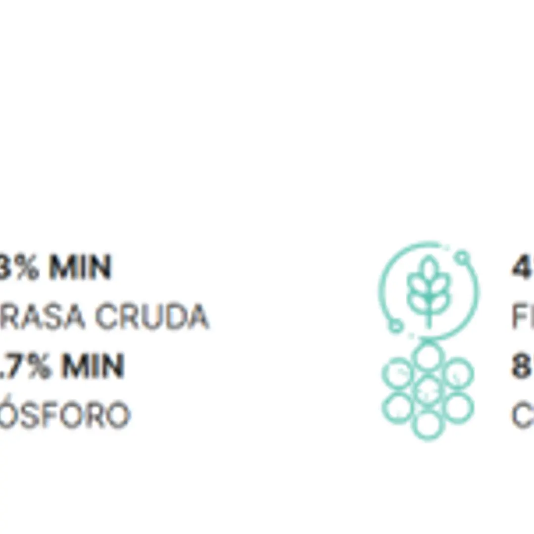 BULTO FULL LIFE ADULTO RAZA GRANDE 8 KG  2