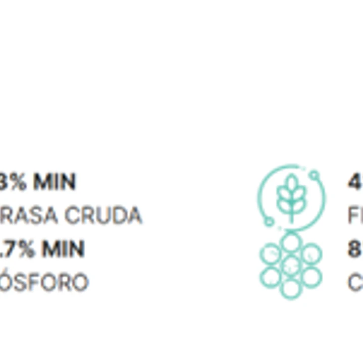 BULTO FULL LIFE ADULTO RAZA GRANDE 8 KG  2