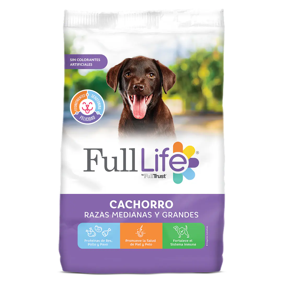 FULL LIFE CACHORRO RAZA GRANDE4 KG 1