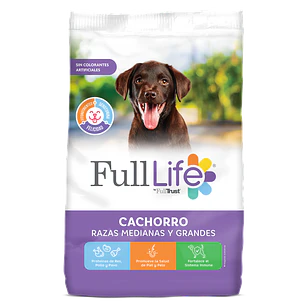 FULL LIFE CACHORRO RAZA GRANDE4 KG