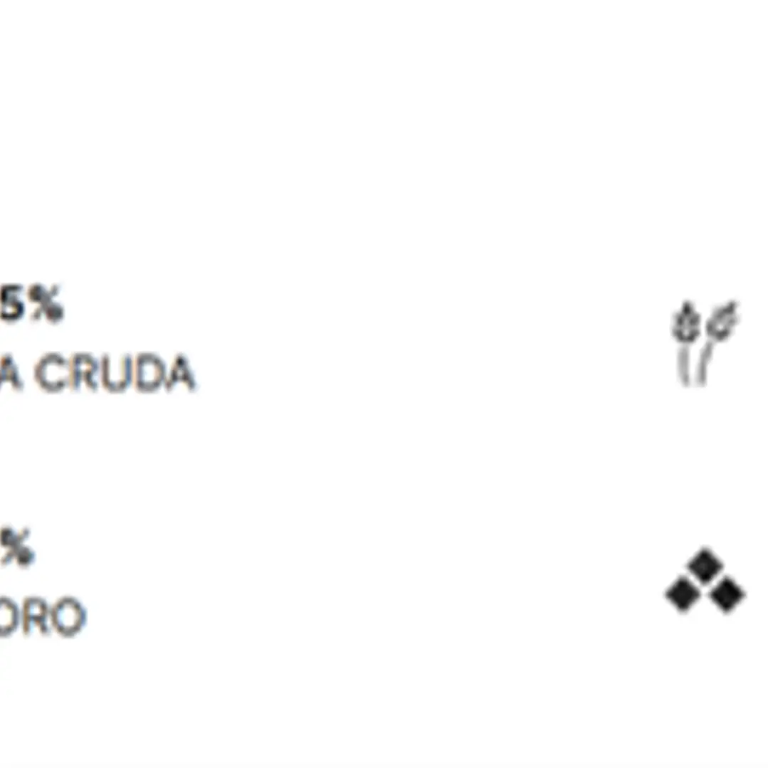 FULL TRUST CACHORRO RAZA GRANDE 20 KG 2