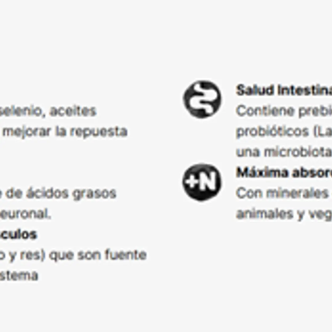 FULL TRUST CACHORRO RAZA GRANDE 2 KG 4