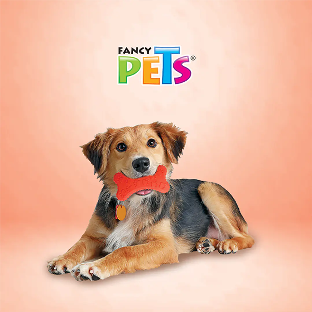 JUGUETE HUESO DE CAUCHO C/HUELLAS 2