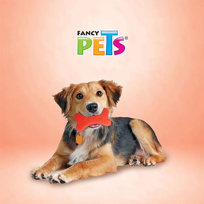 JUGUETE HUESO DE CAUCHO C/HUELLAS 2