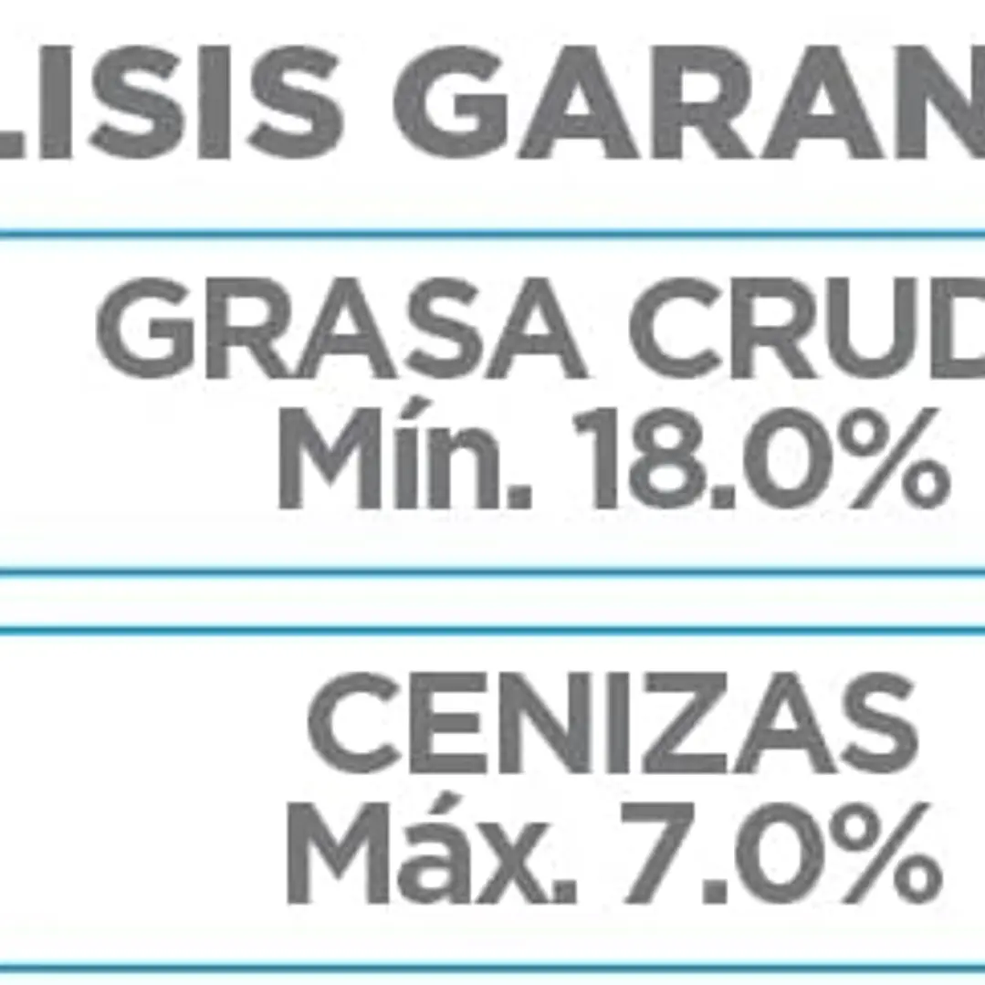 NUPEC FELINO KITTENS 3 KG 2