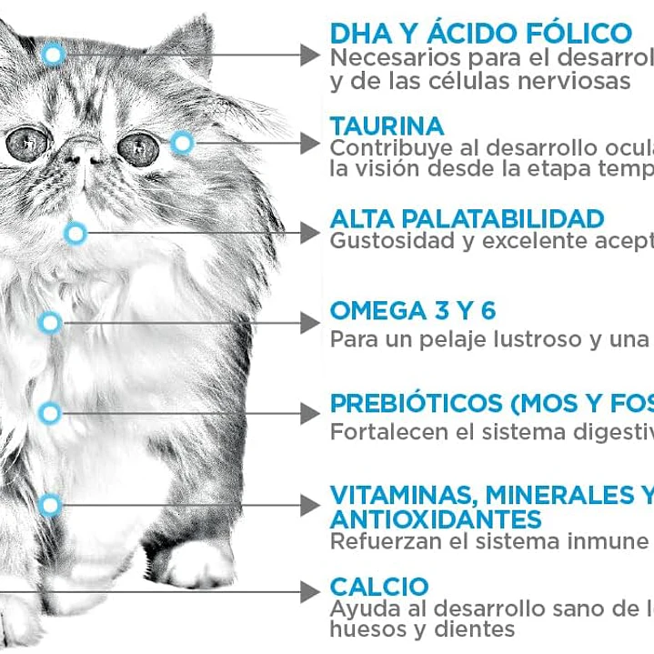 NUPEC FELINO KITTENS 3 KG 3