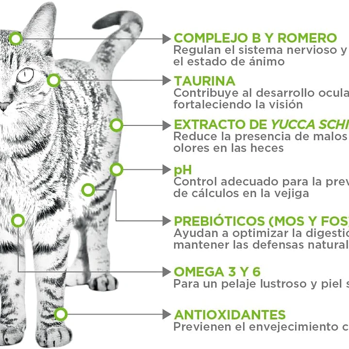 NUPEC FELINO INDOOR 5 KG 3