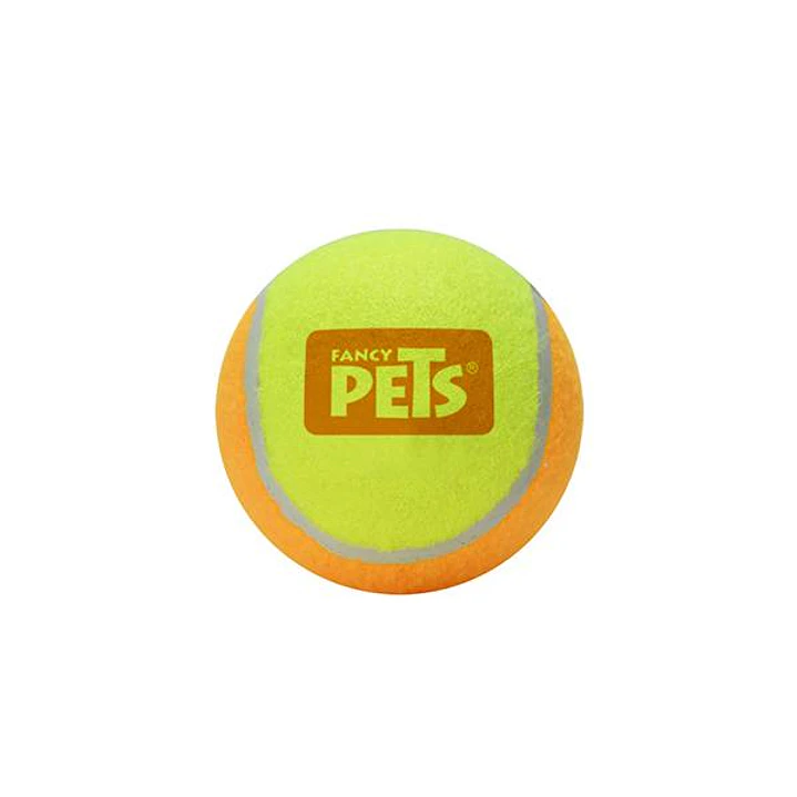 JUGUETE PELOTA GDE DE TENIS BICOLOR - 1 PZ 2