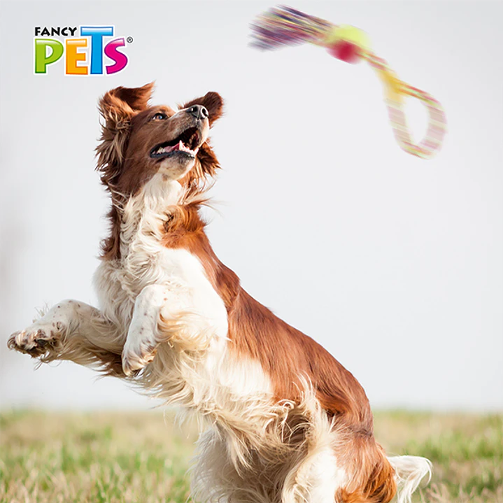 JUGUETE ARO C/PELOTA Y NUDO PAL THREAD 2
