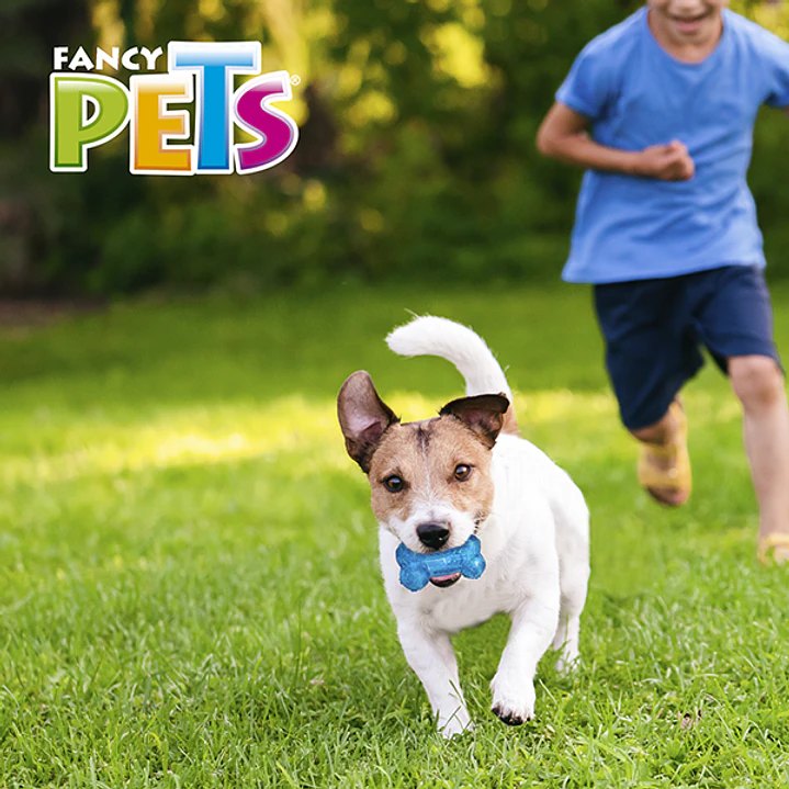 JUGUETE HUESO PRISMA CH C/SONIDO 4