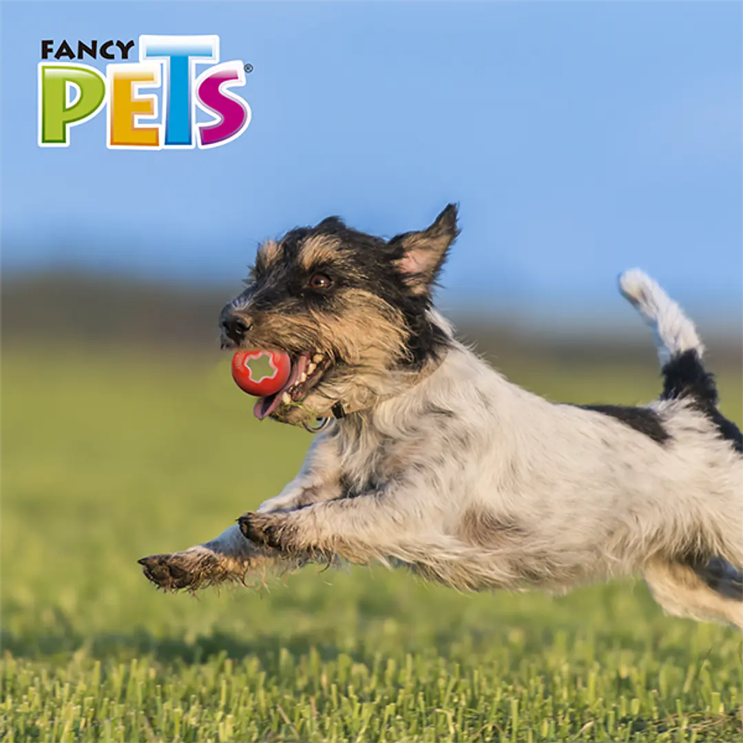 JUGUETE BOLA CH XTREME 5