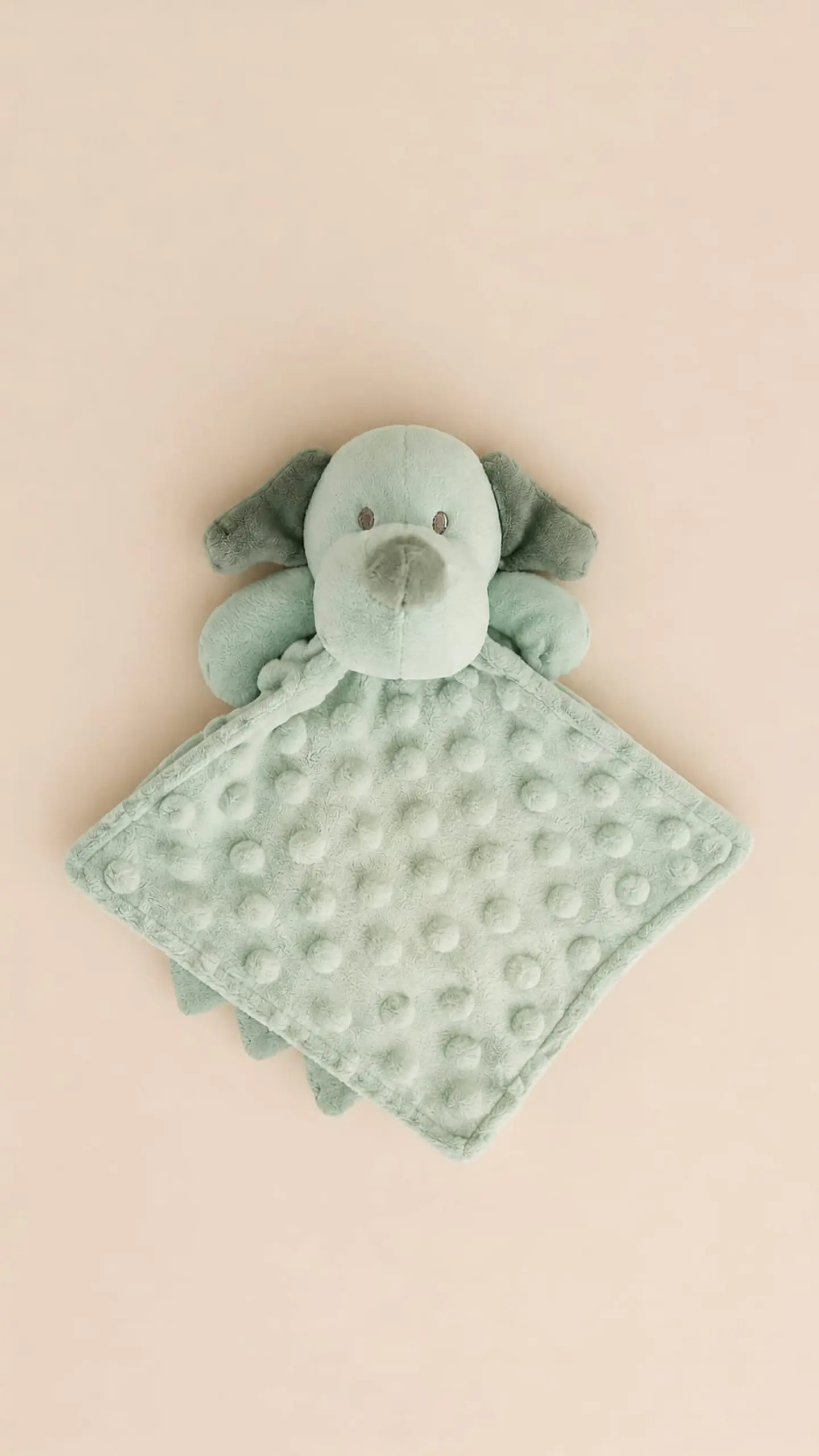 Doudou Amiguinho 2