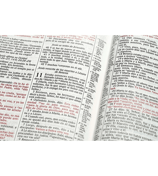 Biblia Scofield Tapa Dura
