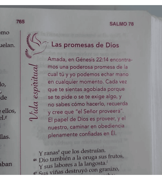 BIBLIA DE LA MUJER CONFORME AL CORAZÓN DE DIOS - IMITACIÓN PIEL 